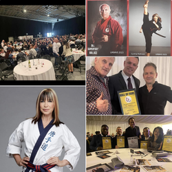 UK Martial Arts show 