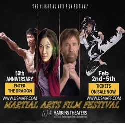 The Martial Arts Film Festival